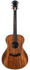 Taylor-Jacob Collier Signature Model 6 String