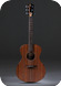 Taylor Jacob Collier Signature Model 6 String