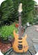 Washburn Jennifer Batten's Maple Custom