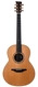 Mcilroy AS35 Cedar Indian Rosewood 2020