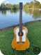 Gibson F 25 Folksinger 1964 Natural