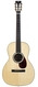 Collings-003 12 Fret Cocobolo Adirondack Spruce