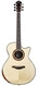 Furch Red Deluxe Gc LR Indian Rosewood Alpine Spruce SPA