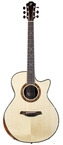 Furch-Red Deluxe Gc LR Indian Rosewood Alpine Spruce SPA