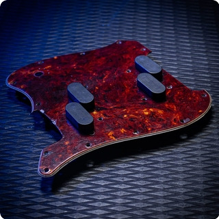 Fender Electric Xii Pickguard 1966 Tortoiseshell