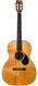 Stevens OOORP 12 Fret Brazilian Rosewood Bearclaw Spruce 2003