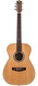 Maton Masterbuilt TE Personal 808 Tommy Emmanuel #0078