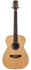Maton Masterbuilt TE Personal 808 Tommy Emmanuel #0079