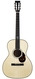 Santa Cruz H13 Moon Spruce Custom 2024