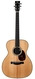 Santa Cruz OM Indian Rosewood Sitka Spruce 2018