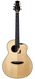 ANueNue LS700 Indian Rosewood Swiss Moon Spruce Used