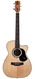 Maton-EBG808C Joe Robinson-2021