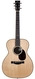 Santa Cruz-OM42 Indian Rosewood Moon Spruce