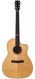 Huss & Dalton-CM Custom Australian Blackwood-2011