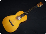 Hipner-Parlour Brazilian Rosewood-2001-Natural