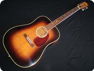 Levin LN26 Goliath 1969 Sunburst