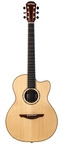 Avalon-S6-325c Madagscar Rosewood Spruce Used