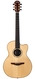 Avalon S6 325c Madagscar Rosewood Spruce Used