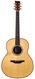 Mcilroy A56 Cocobolo Moon Spruce 2014
