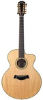 Taylor-LKSM Leo Kottke-2008
