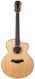 Taylor-LKSM Leo Kottke-2008