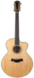Taylor LKSM Leo Kottke 2008