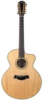 Taylor-LKSM Leo Kottke-2008