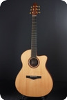 Mukae Guitars-MSS-2020-French Polish