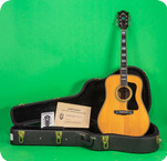 Guild-DV 72 Limited Edition-1994-Natural