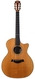 Taylor 414CE Limited Edition Walnut Cedar 2005