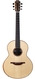 Lowden S50 African Blackwood Adirondack Spruce 2022