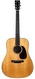 Collings D1A Adirondack Mahogany 2009