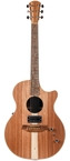 Cole Clark-AN2EC All Blackwood HUM Natural-2021