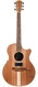 Cole Clark-AN2EC All Blackwood HUM Natural-2021