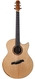 Hozen Guitars Hozen Original Raffles SR CSB A