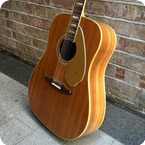 Fender Wildwood II 1960 Wildwood Finish