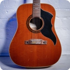 Eko-12 String Ex Graham Nash - The Hollies CSNY-1965-Natural