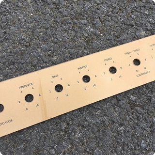 Marshall 1966 Jtm45 Panel , Repro/replica 1966 Gold