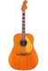 Fender-Wildwood-1967-Natural