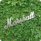 Marshall MARSHALL JTM 45 JMP Plexi SCRIPT LOGO FOR PLEXI AMP OR CAB 2023