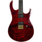 ERG Custom-Steelhammer-Gloss