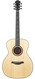 Furch Orange OM LG Alpine Spruce Madagascar Rosewood LTD 2019