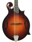 Bulas F Style Persephone