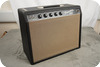 Fender Princeton 1965-Black Panel