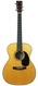 Martin -  00028EC Eric Clapton 2025