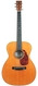 Atkin Essential 00 14 Fret 2025