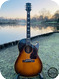Gibson -  CF-100 1956 Sunburst