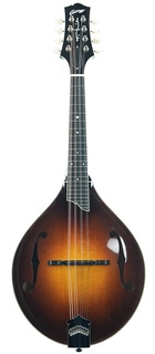 collings-MT2 Mandolin Collings Mt2 Mandolin