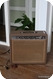 Fender Princeton 1962-Brownface