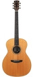 Goodall Grand Concert Macassar Ebony German Spruce 2014